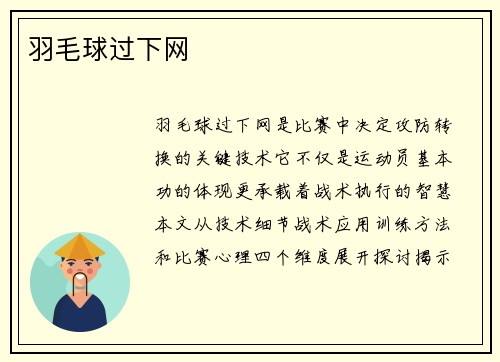 羽毛球过下网
