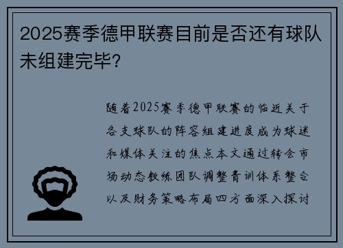 2025赛季德甲联赛目前是否还有球队未组建完毕？